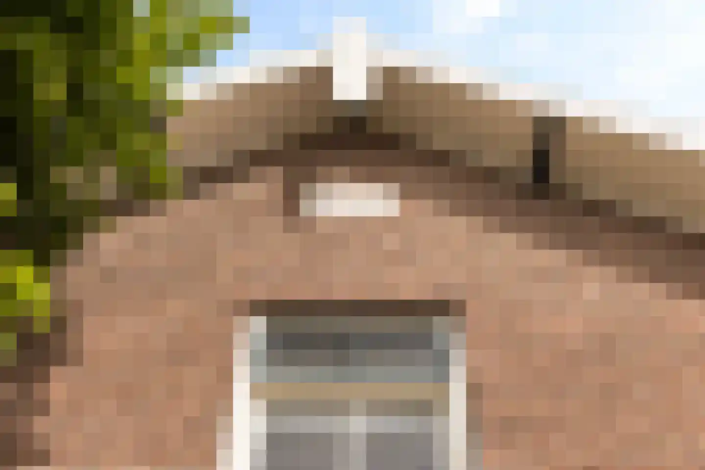 Langetaam 18 Maasland thumbnail 64