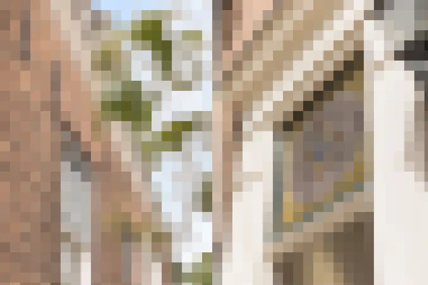 Langetaam 18 Maasland thumbnail 65
