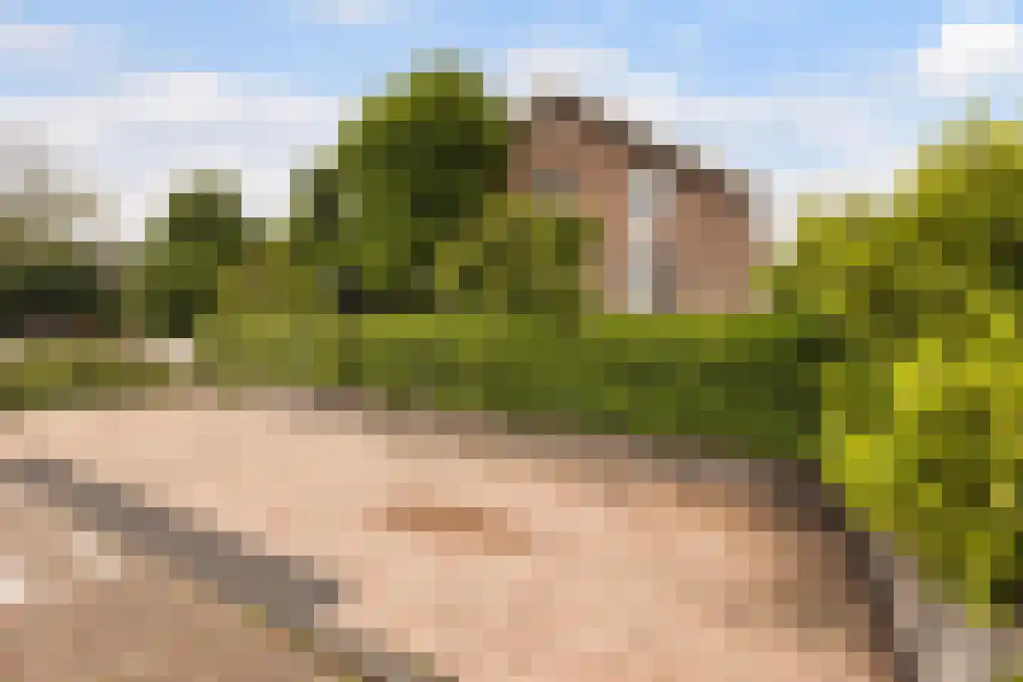 Langetaam 18 Maasland thumbnail 66