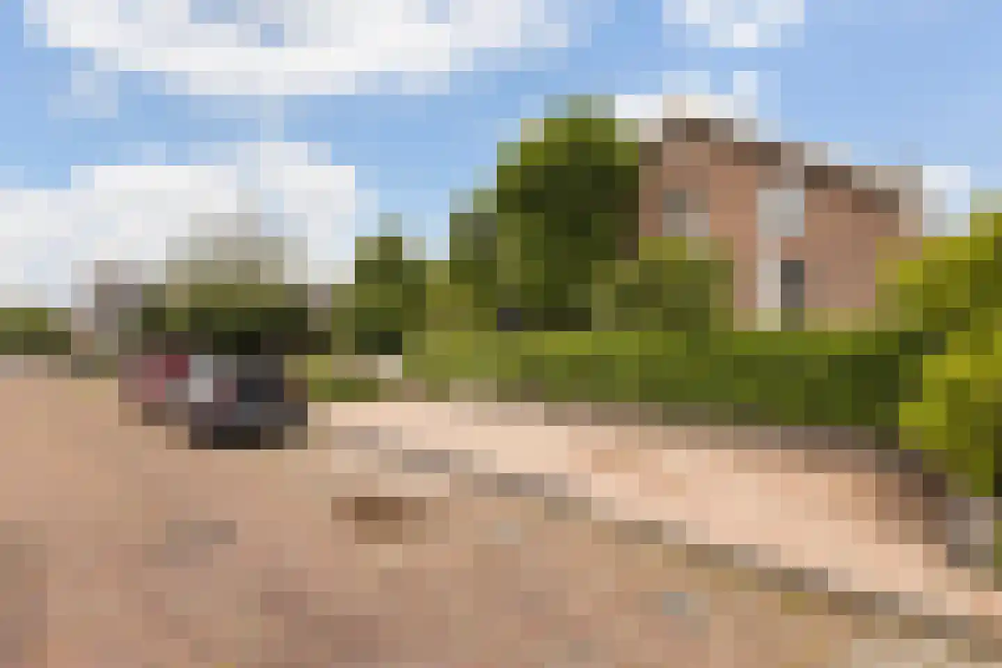Langetaam 18 Maasland thumbnail 67