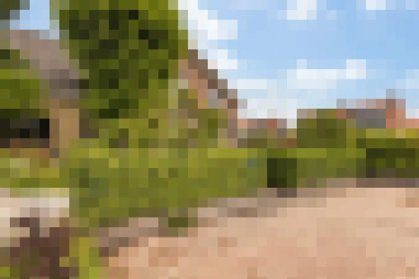 Langetaam 18 Maasland thumbnail 68