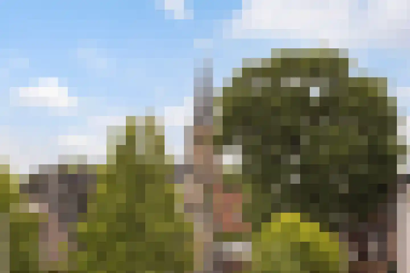 Langetaam 18 Maasland thumbnail 69
