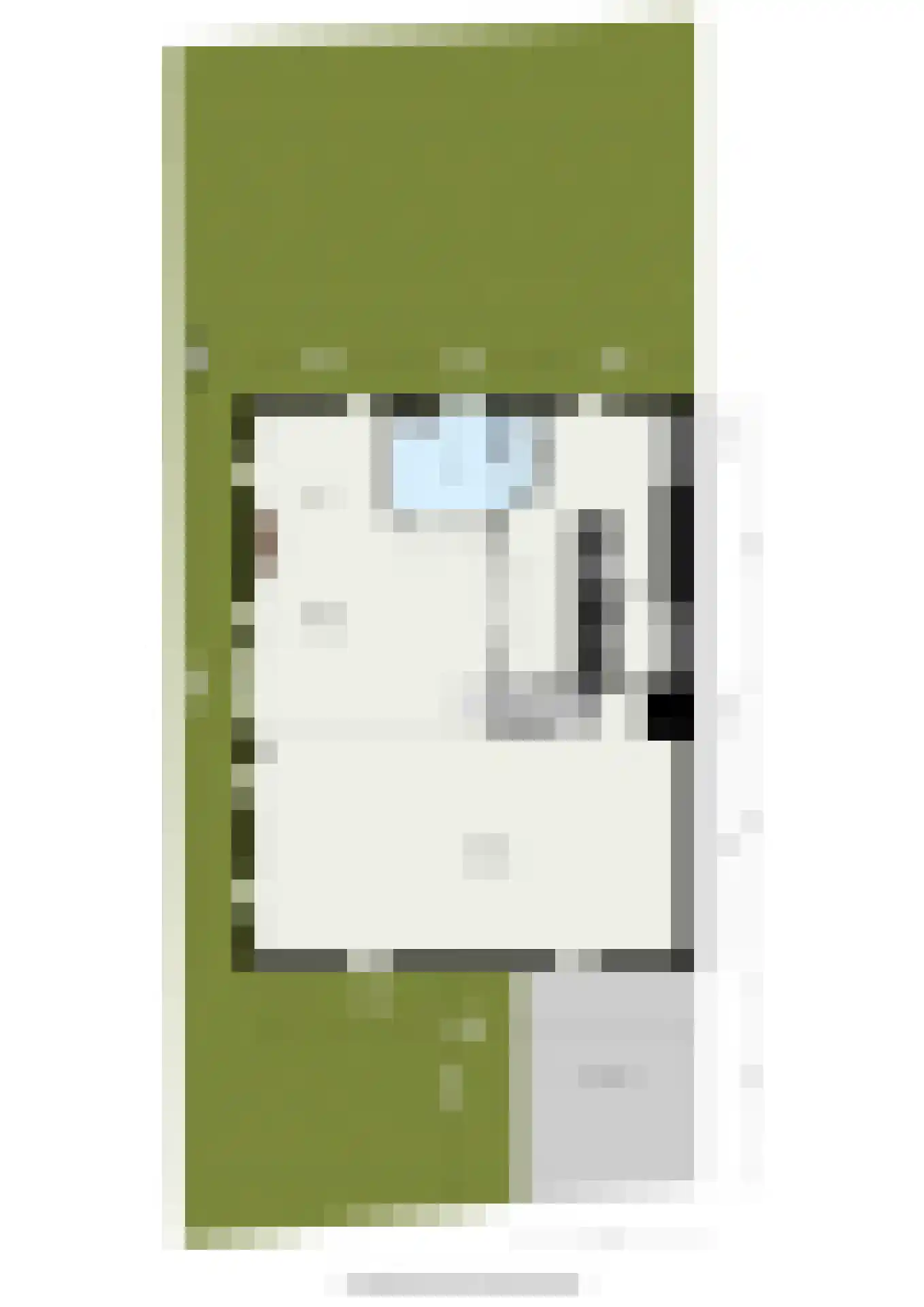 Langetaam 18 Maasland thumbnail 73