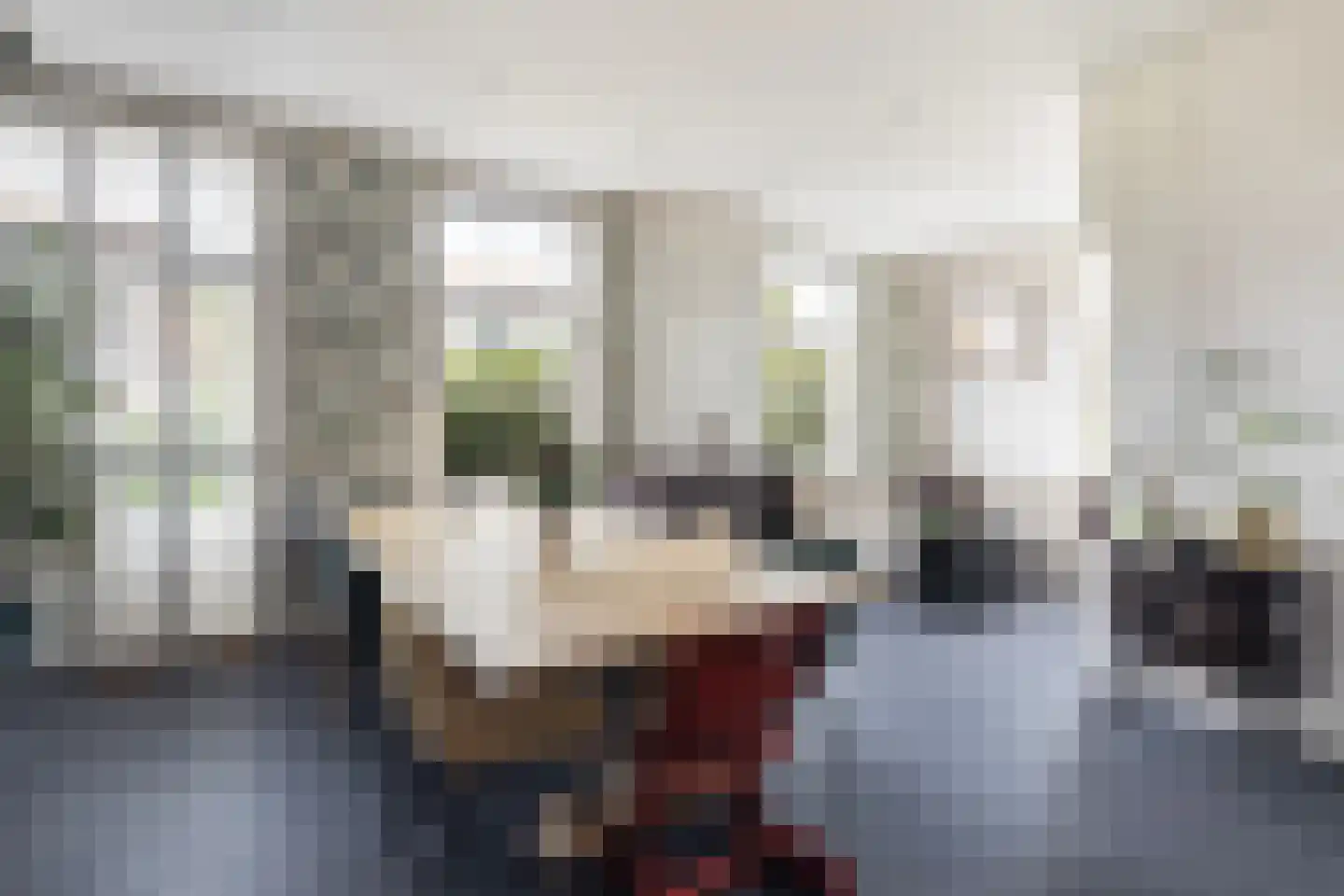 Langetaam 18 Maasland thumbnail 8