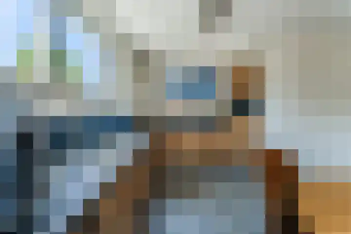Langetaam 5 b Maasland thumbnail 16
