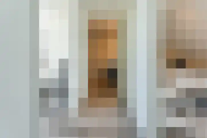 Langetaam 5 b Maasland thumbnail 18