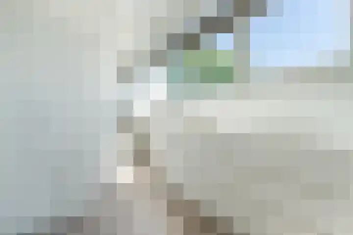 Langetaam 5 b Maasland thumbnail 22