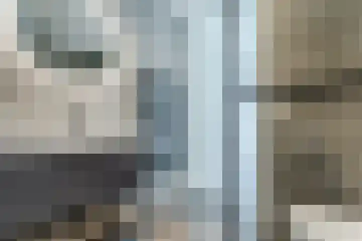 Langetaam 5 b Maasland thumbnail 23