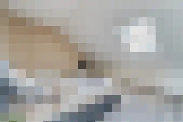 Langetaam 5 b Maasland thumbnail 24