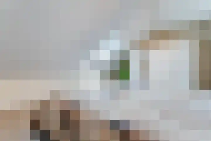 Langetaam 5 b Maasland thumbnail 26