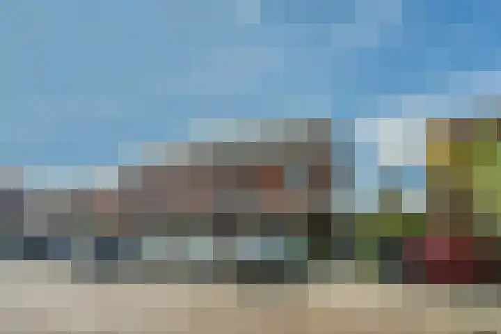 Langetaam 5 b Maasland thumbnail 27