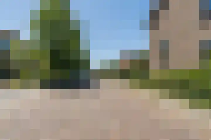 Langetaam 5 b Maasland thumbnail 28