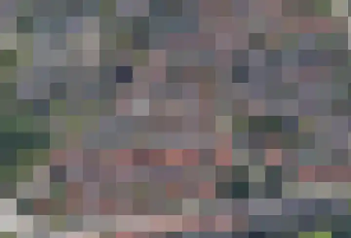 Langetaam 5 b Maasland thumbnail 29