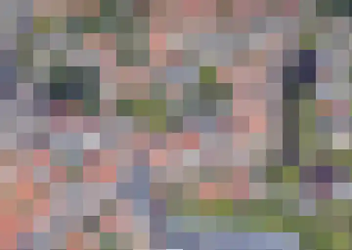 Langetaam 5 b Maasland thumbnail 30
