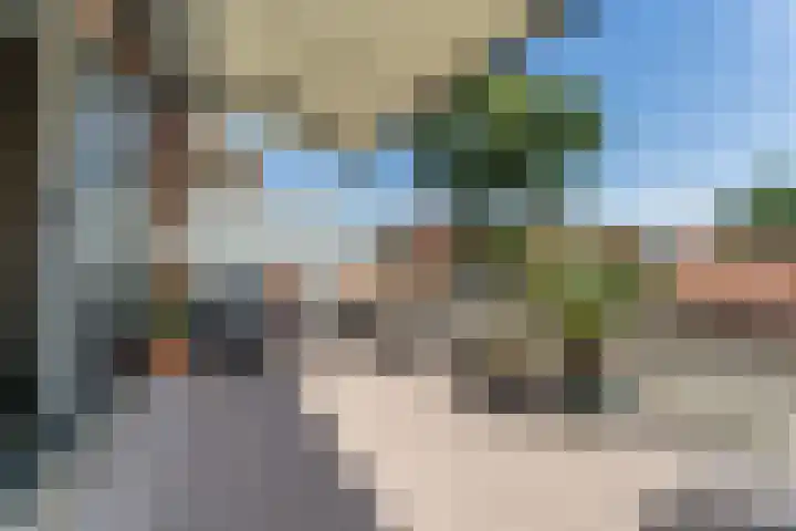 Langetaam 5 b Maasland thumbnail 6