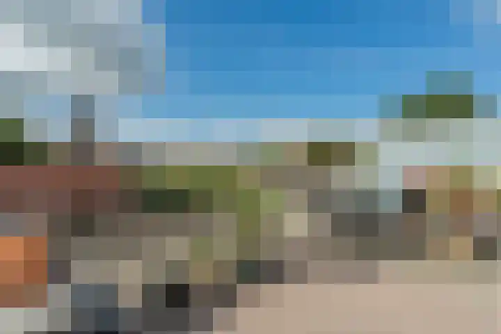 Langetaam 5 b Maasland thumbnail 7