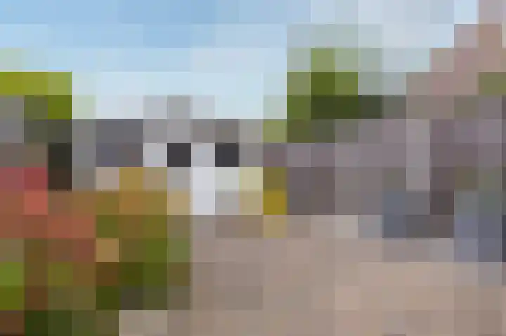 Langetuin 143 Zwaag thumbnail 4