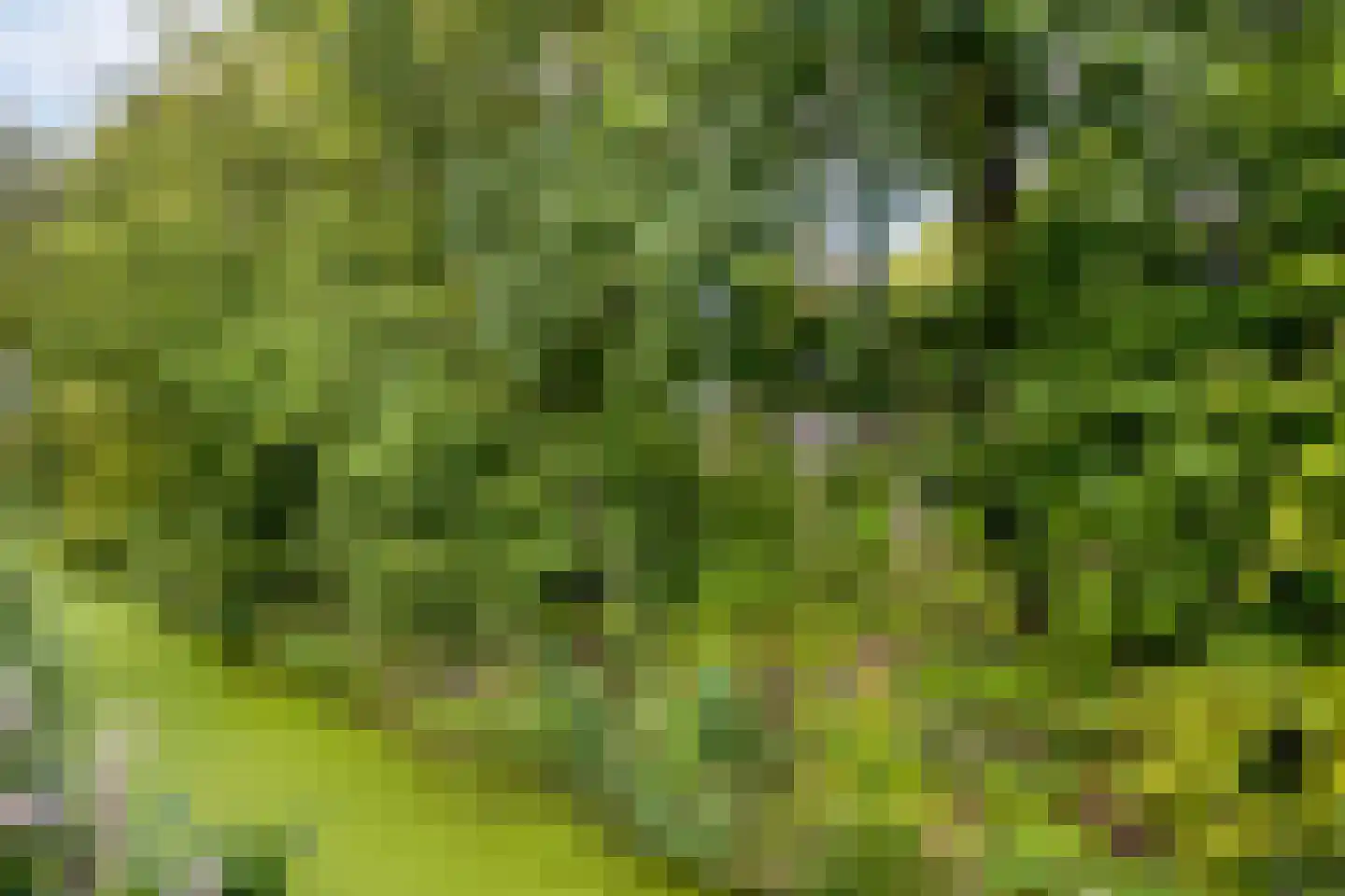 Langetuin 191 Zwaag thumbnail 32