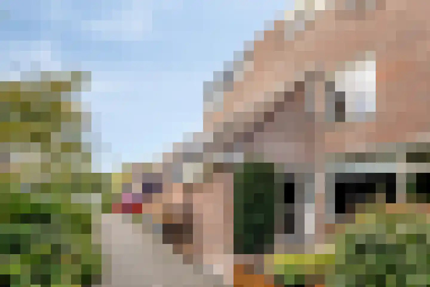 Langetuin 191 Zwaag thumbnail 6