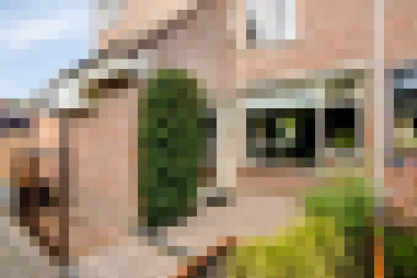 Langetuin 191 Zwaag thumbnail 7