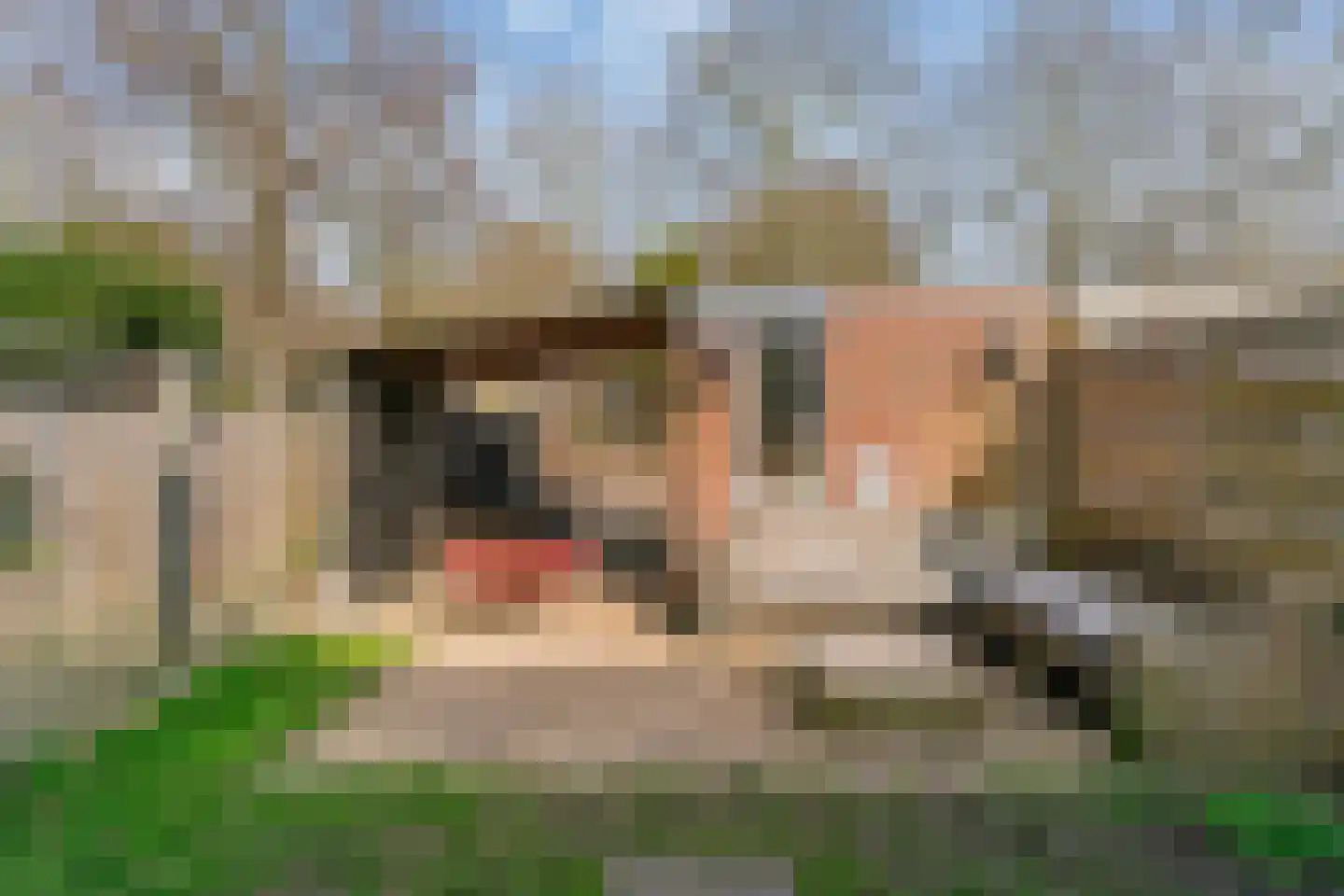 Langetuin 192 Zwaag thumbnail 34
