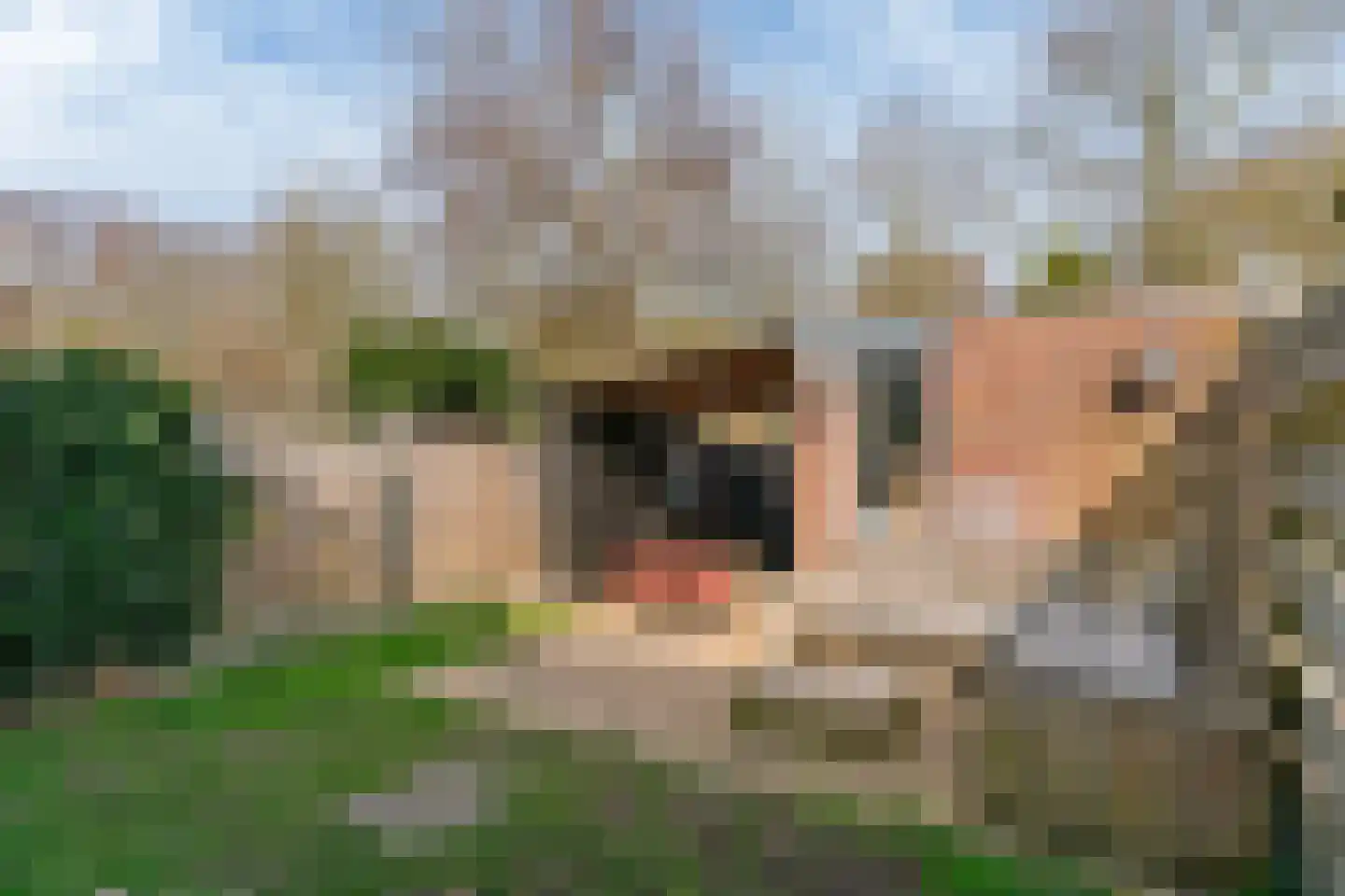 Langetuin 192 Zwaag thumbnail 35