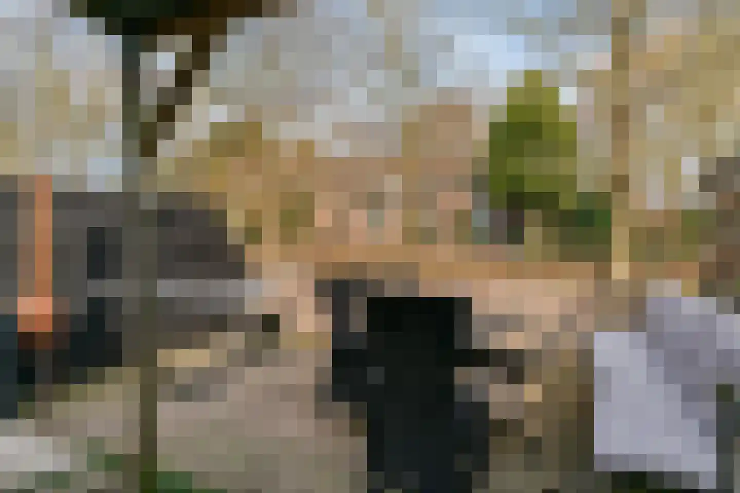 Langetuin 192 Zwaag thumbnail 39