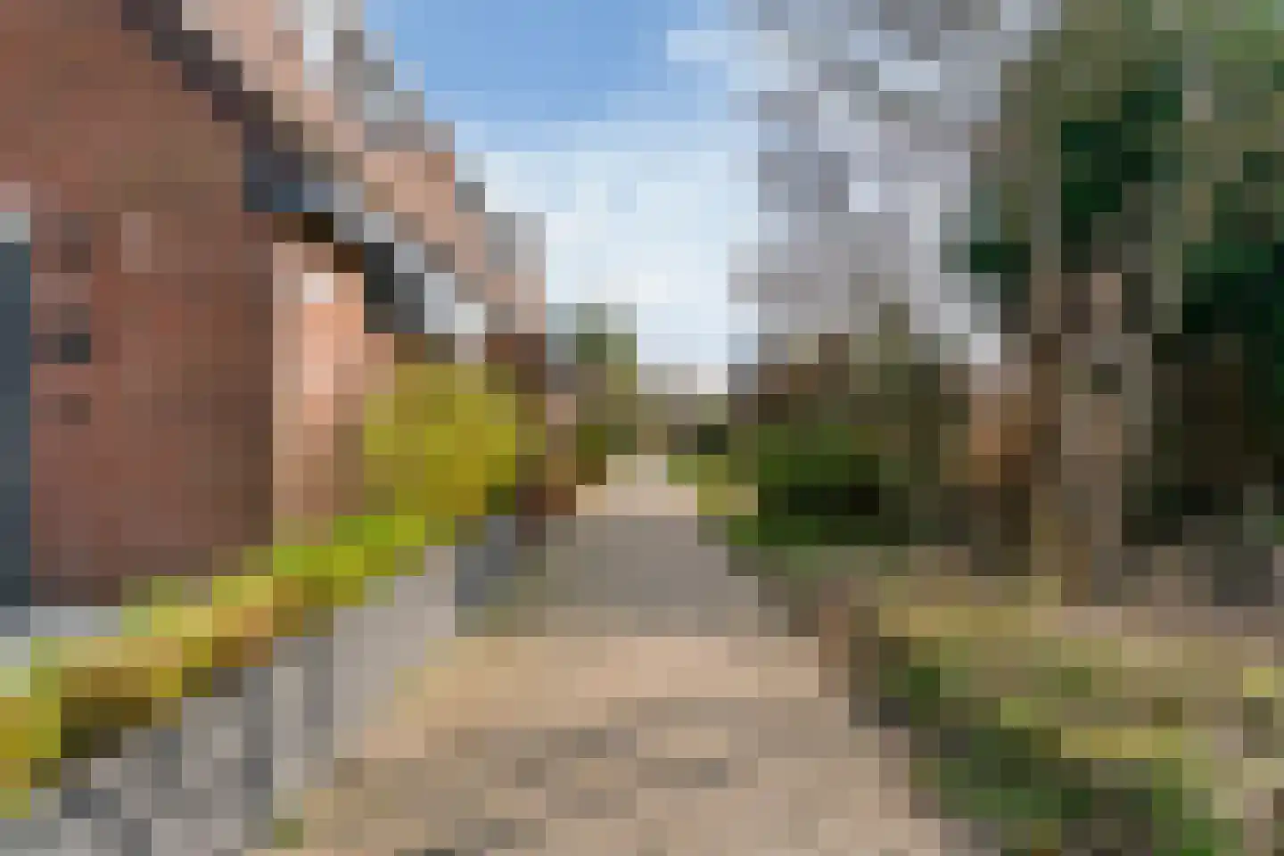 Langetuin 192 Zwaag thumbnail 41
