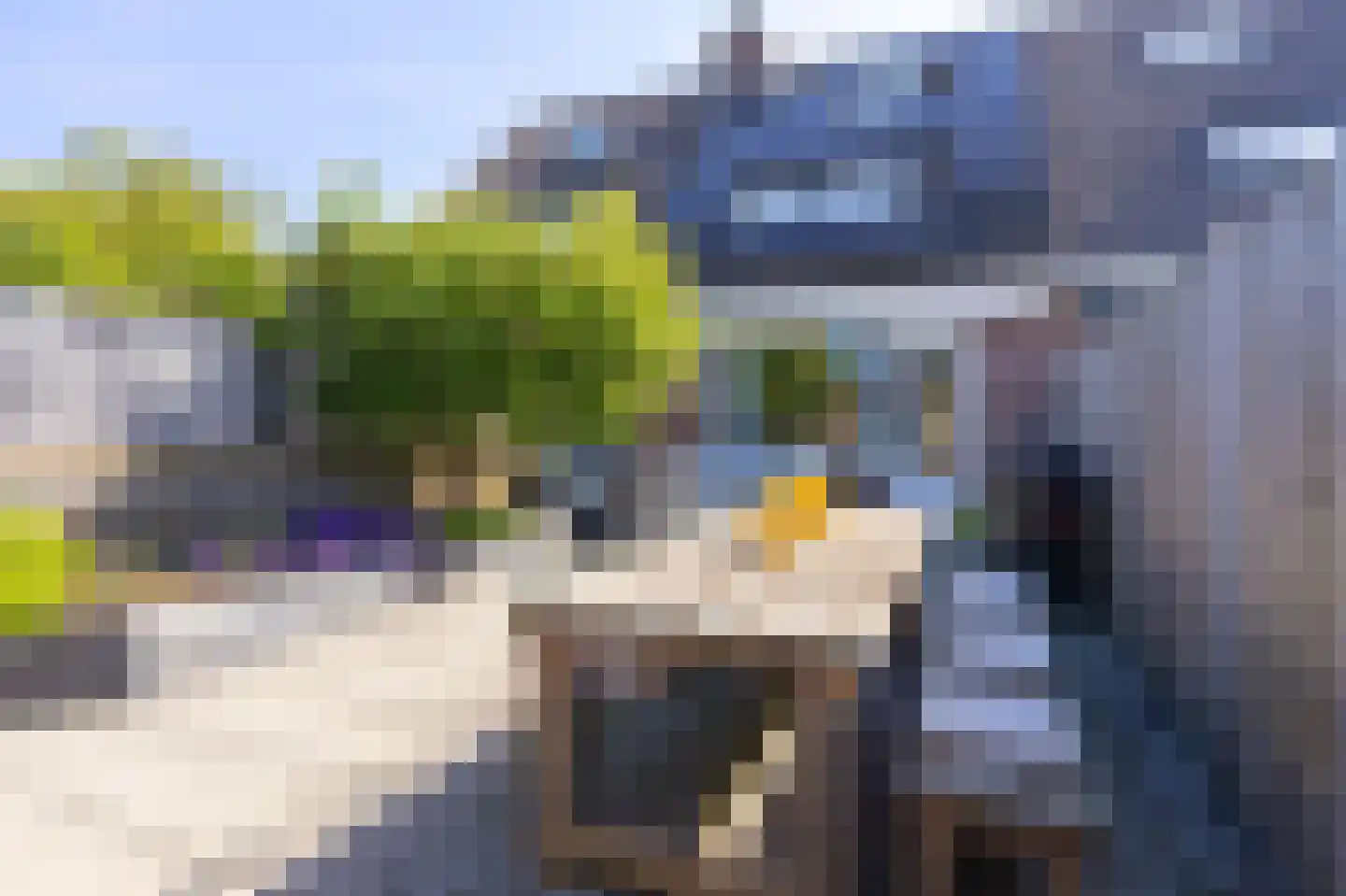 Langetuin 204 Zwaag thumbnail 15