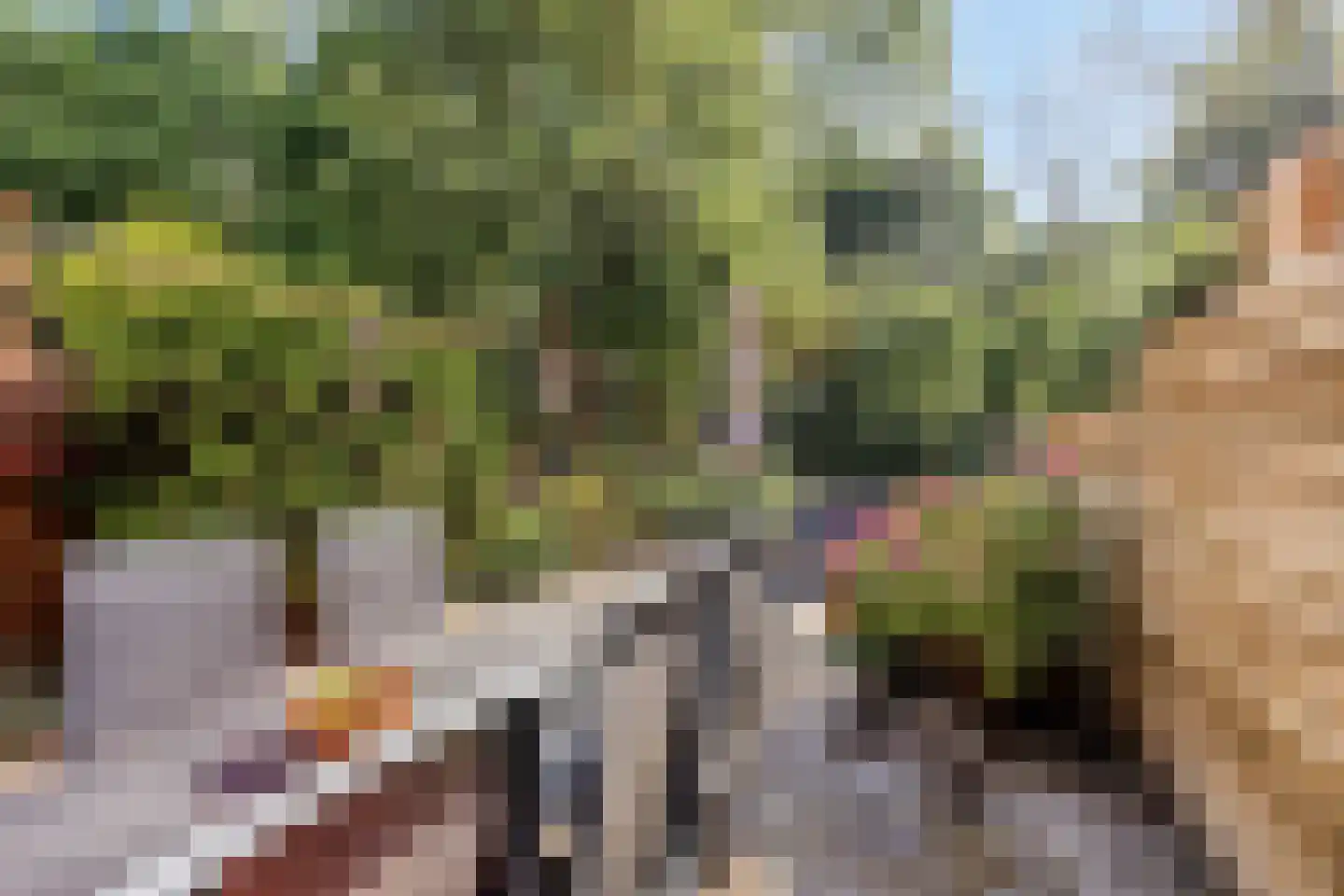 Langetuin 213 Zwaag thumbnail 27