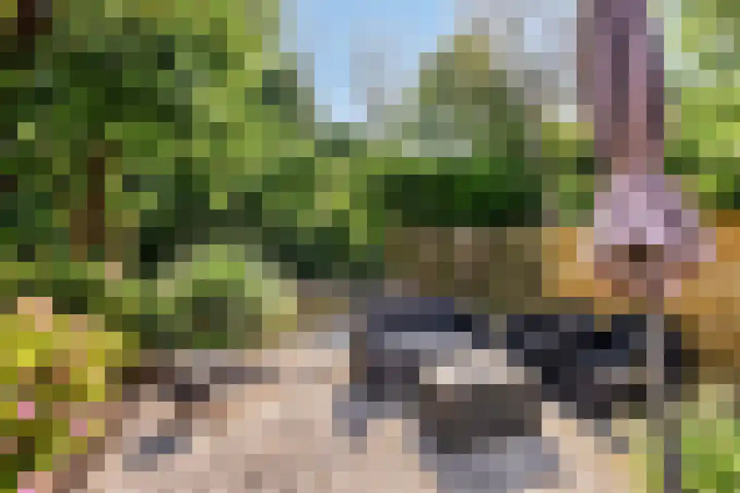 Langetuin 213 Zwaag thumbnail 29