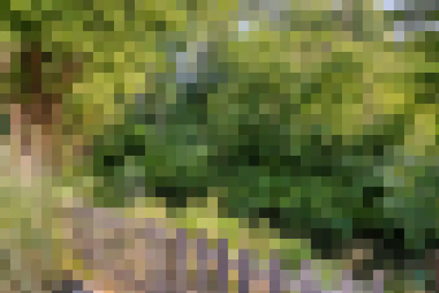 Langetuin 213 Zwaag thumbnail 30