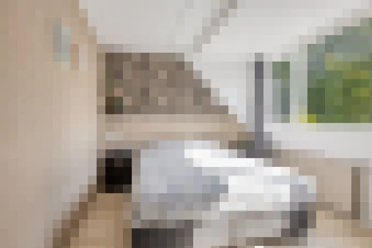 Langetuin 213 Zwaag thumbnail 4