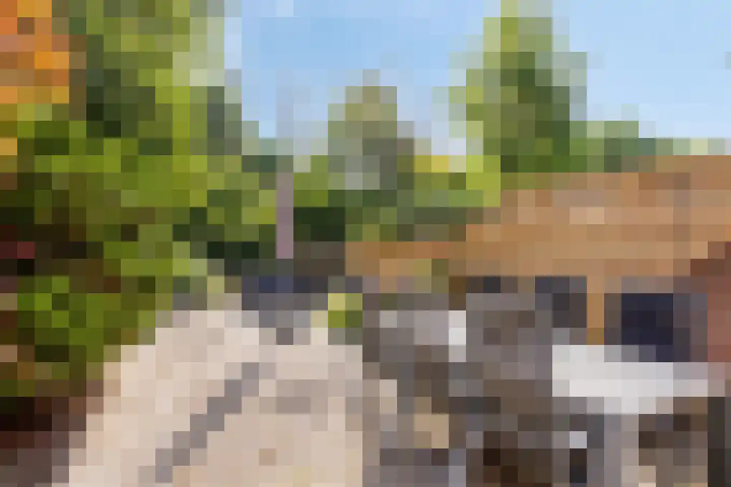 Langetuin 213 Zwaag thumbnail 6