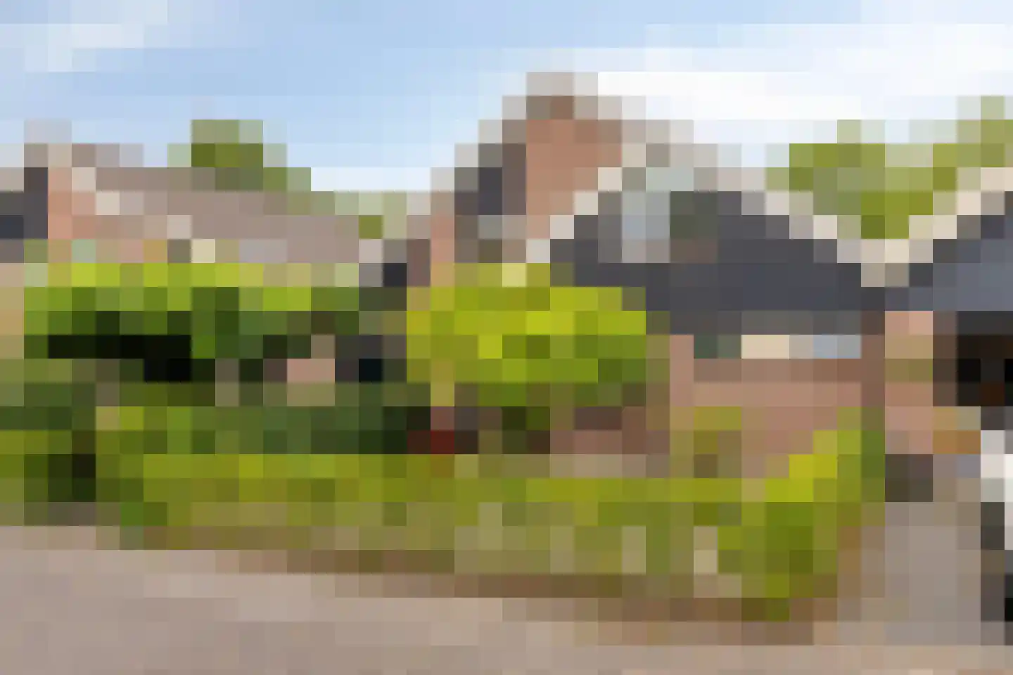 Langetuin 3 Zwaag