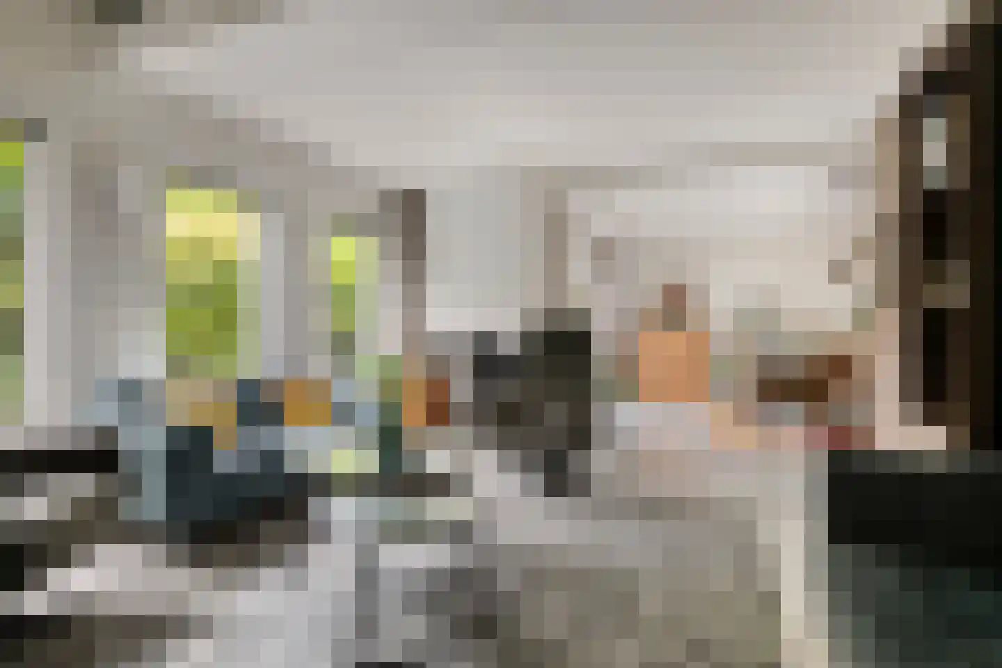 Langetuin 3 Zwaag thumbnail 10