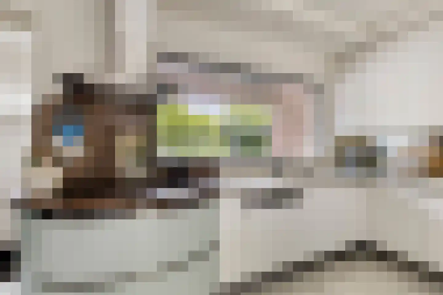 Langetuin 3 Zwaag thumbnail 15