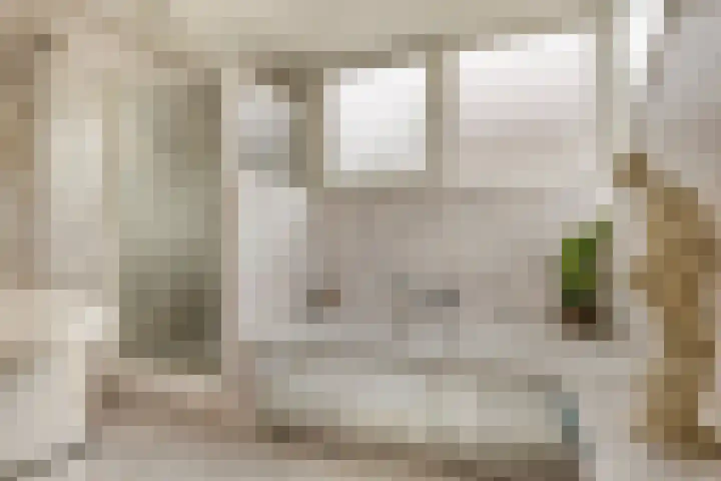 Langetuin 3 Zwaag thumbnail 25