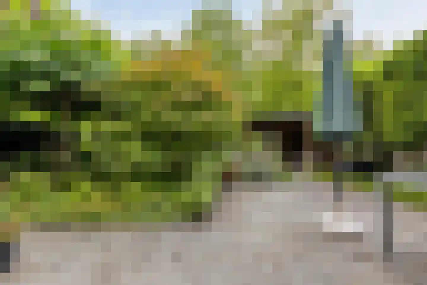 Langetuin 3 Zwaag thumbnail 32