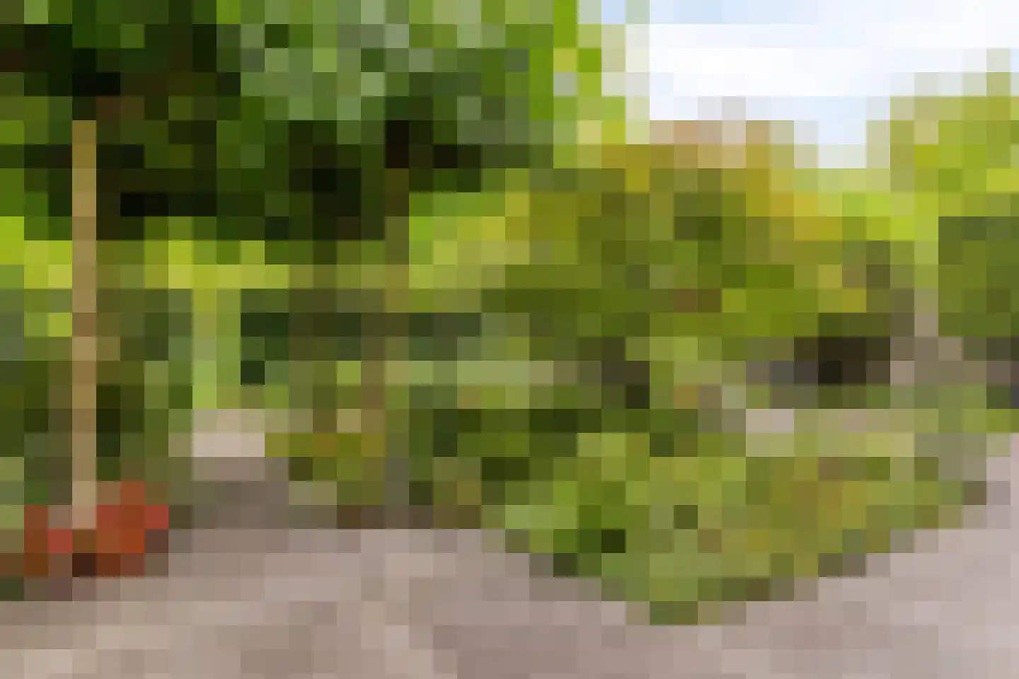 Langetuin 3 Zwaag thumbnail 34