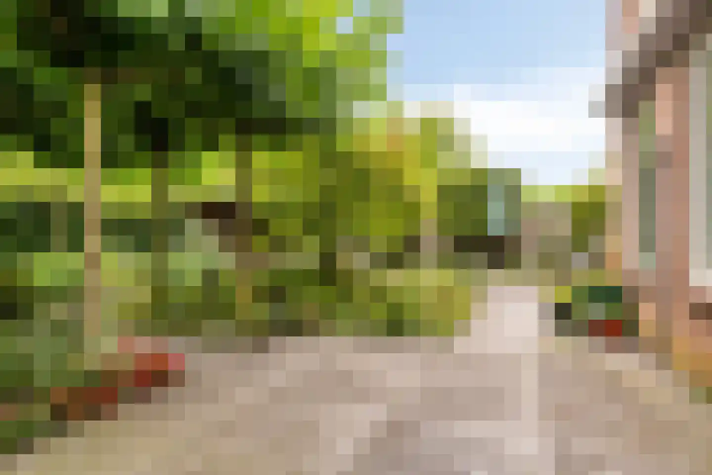 Langetuin 3 Zwaag thumbnail 35