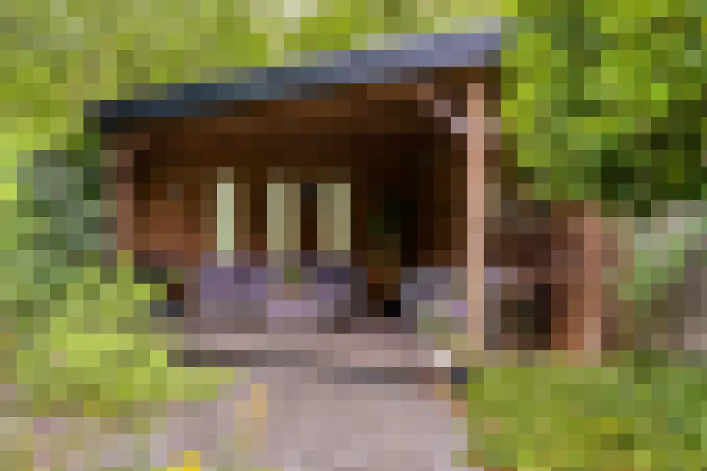 Langetuin 3 Zwaag thumbnail 36
