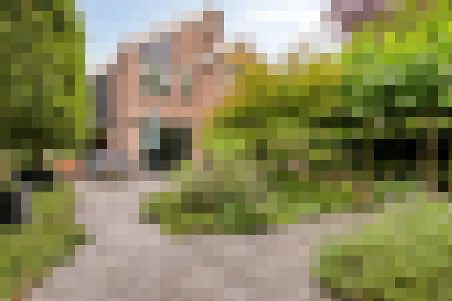 Langetuin 3 Zwaag thumbnail 37