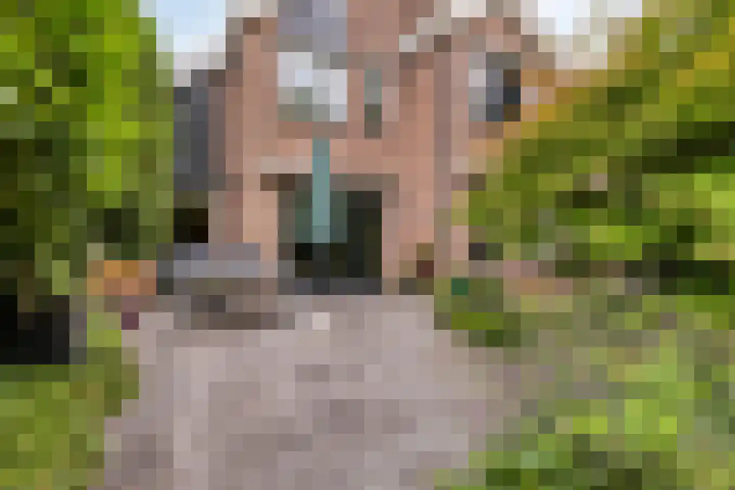 Langetuin 3 Zwaag thumbnail 38