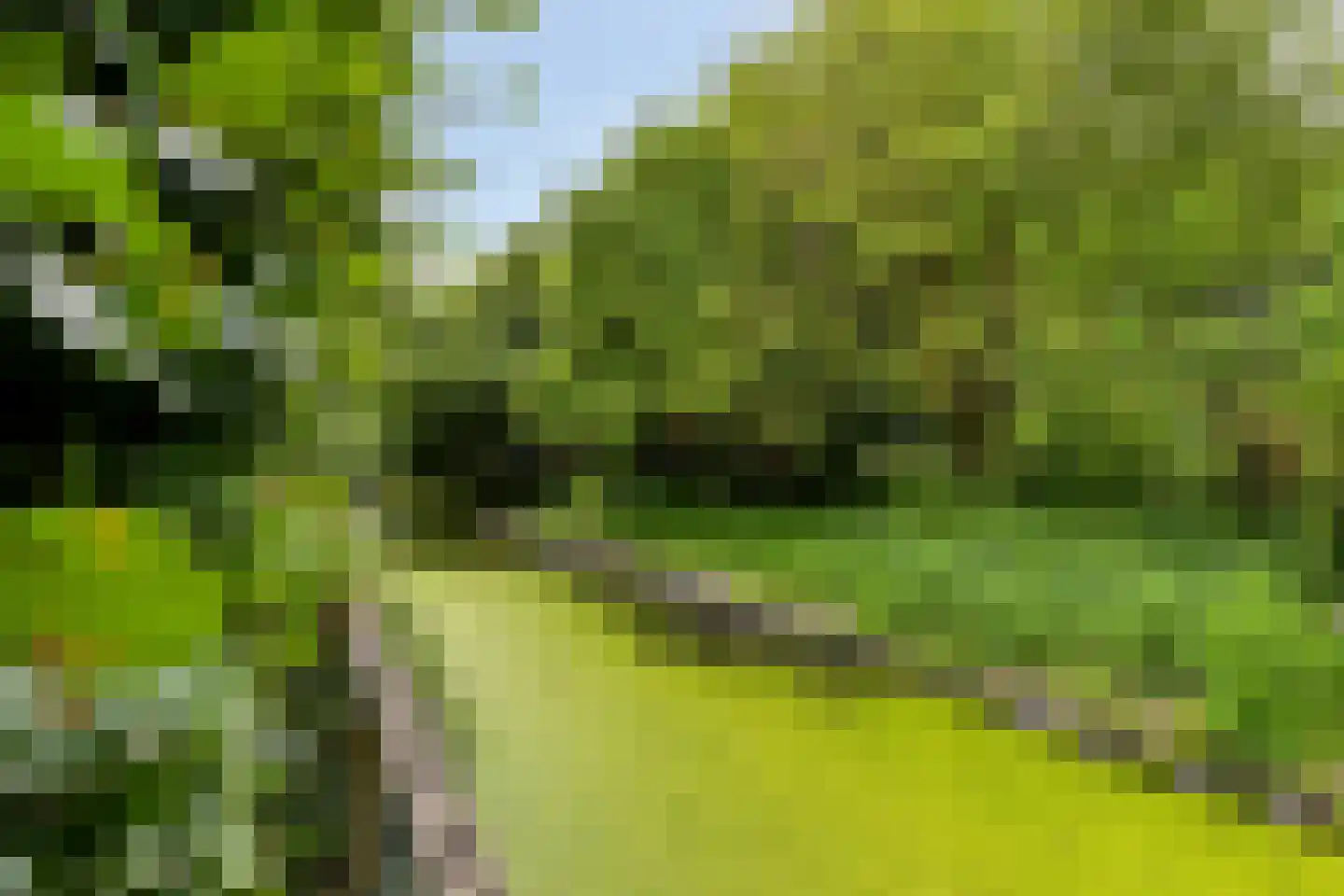 Langetuin 3 Zwaag thumbnail 40