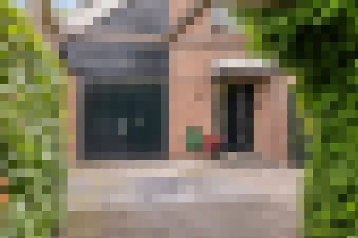 Langetuin 3 Zwaag thumbnail 41