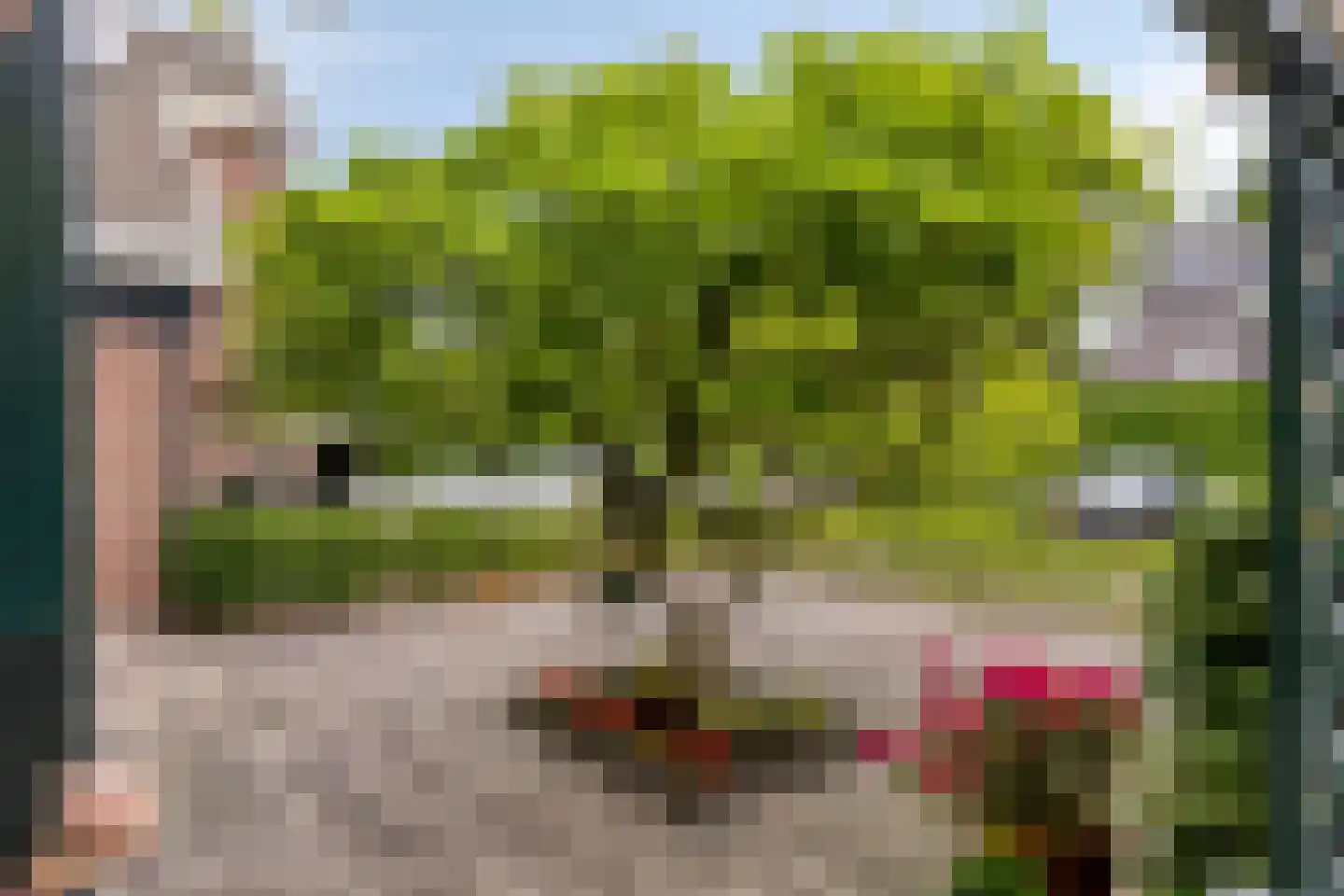 Langetuin 3 Zwaag thumbnail 42