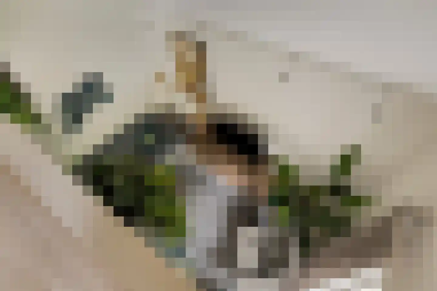Langetuin 3 Zwaag thumbnail 42