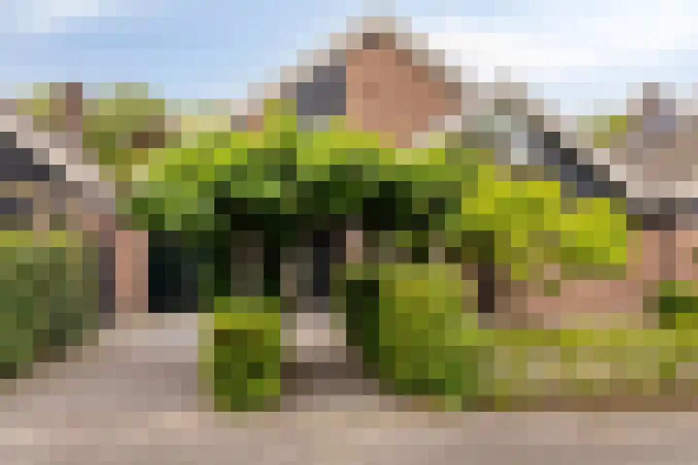Langetuin 3 Zwaag thumbnail 43
