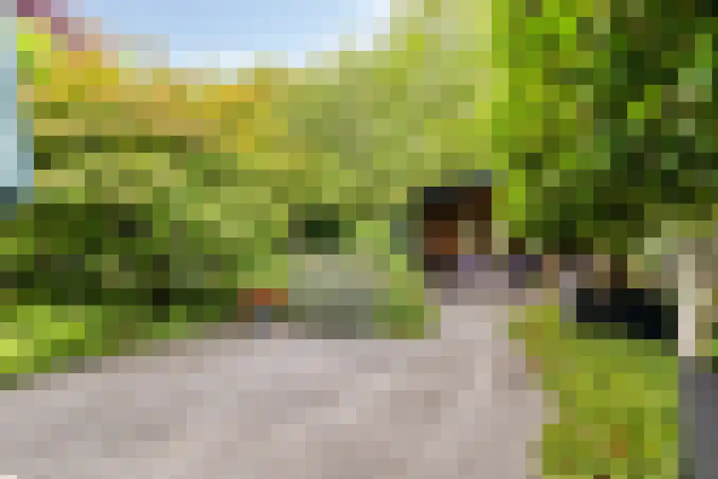 Langetuin 3 Zwaag thumbnail 5